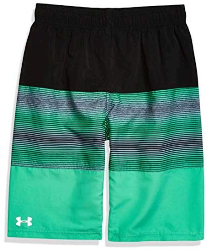 Under Armour Boys Volley Fashion Swim Trunk