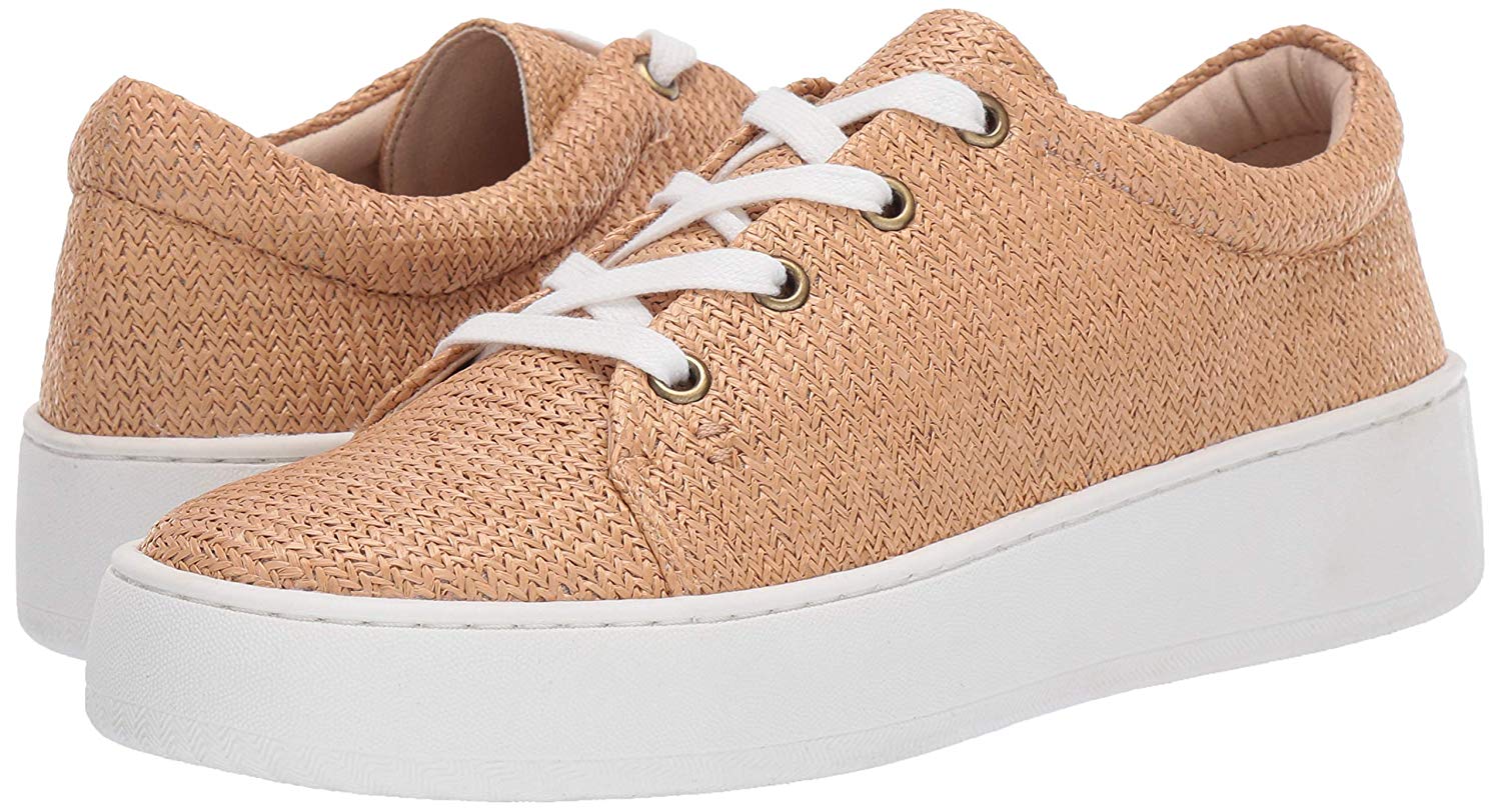 Aerosoles term paper 08 picture