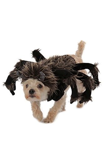 Princess Paradise Tarantula Dog Costume, Black, Large, Black, Size ...