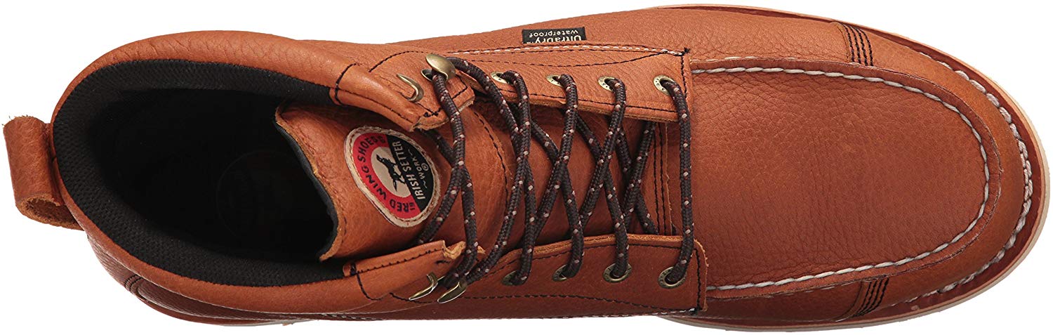 wingshooter st irish setter