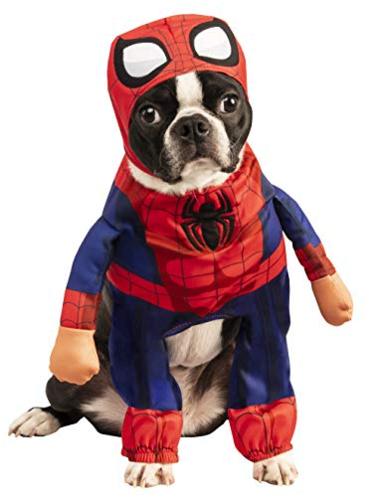 Rubie's Marvel Walking Spider-Man Pet Costume, Medium, AS Shown, Size ...