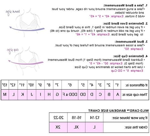 Playtex Bra Size Chart