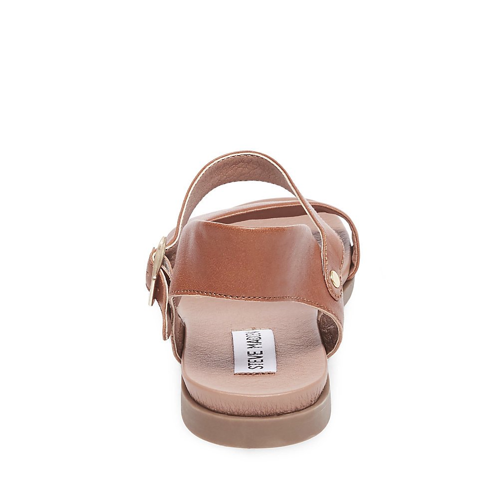 steve madden dina tan leather