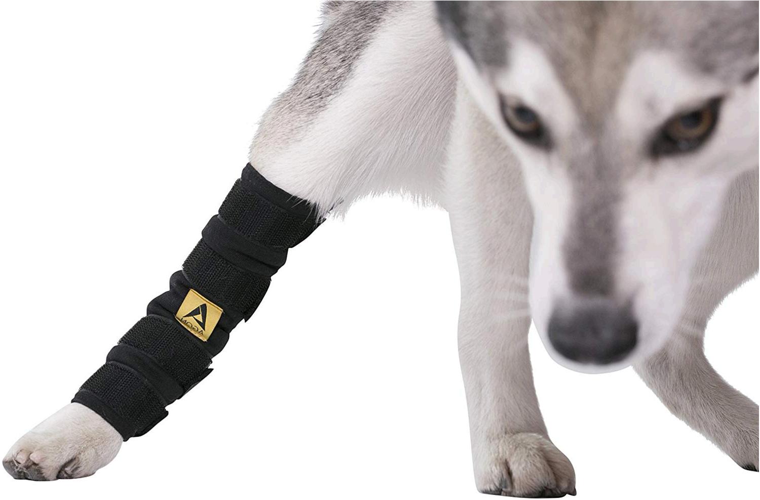 Agon Canine Dog Hock Brace Rear Leg Joint Wrap Protects Wounds, Black