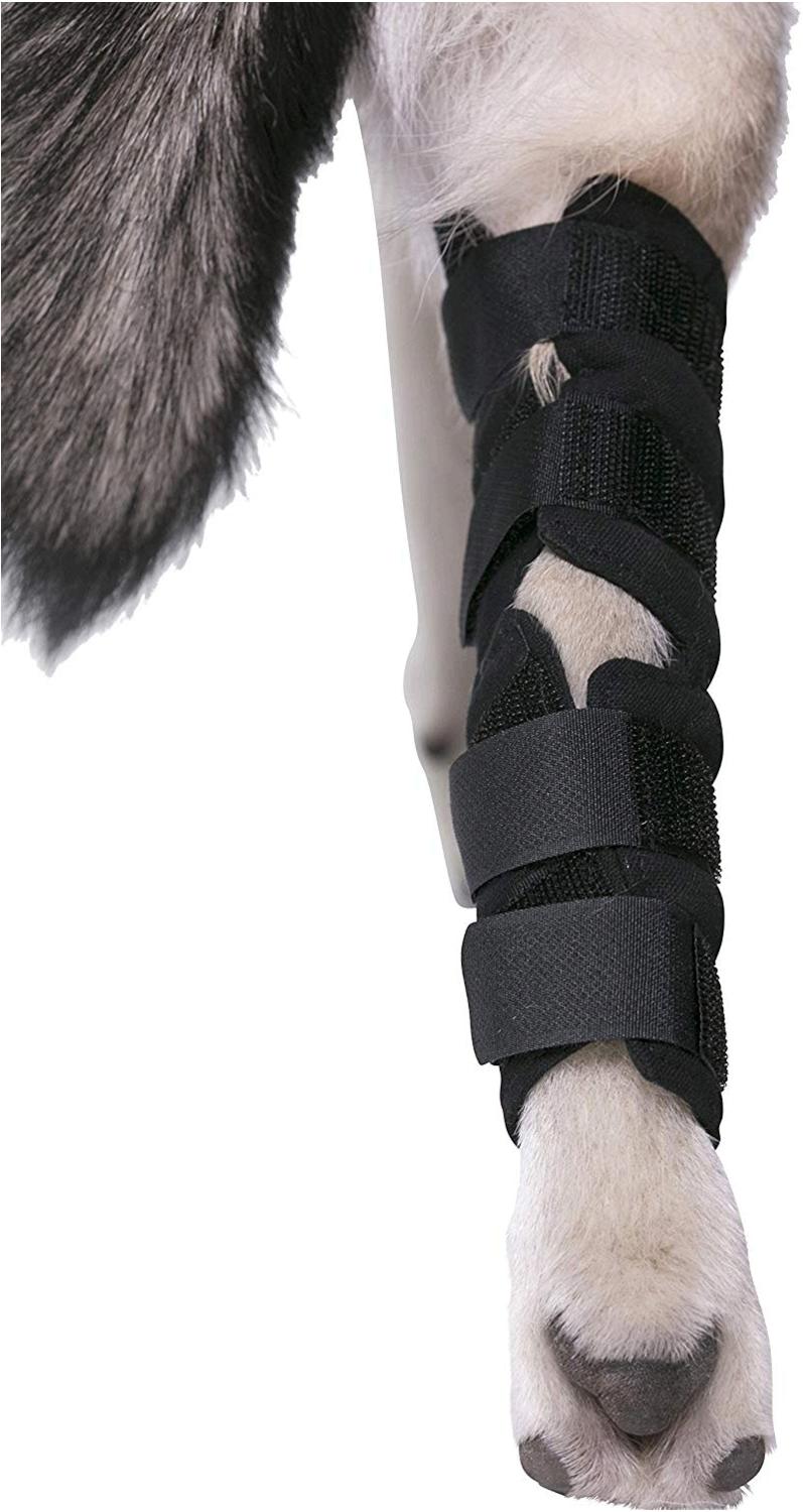 Agon Canine Dog Hock Brace Rear Leg Joint Wrap Protects Wounds, Black ...