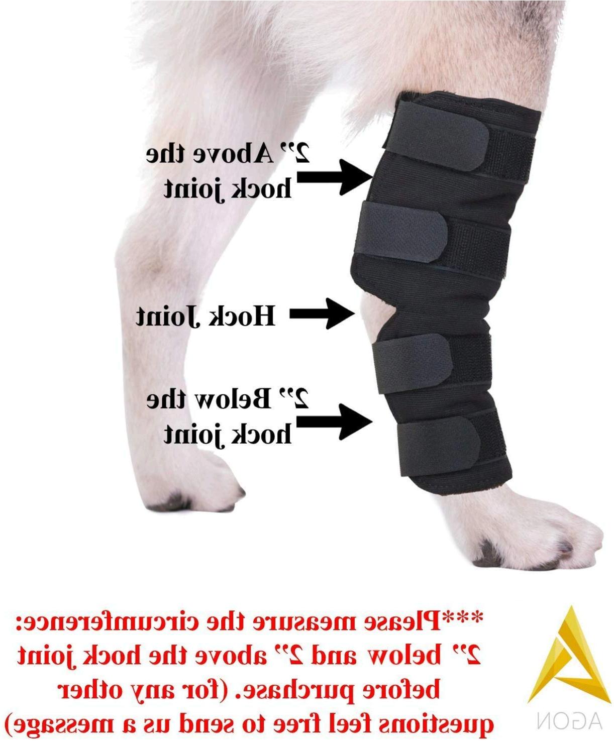 Agon Canine Dog Hock Brace Rear Leg Joint Wrap Protects Wounds, Black