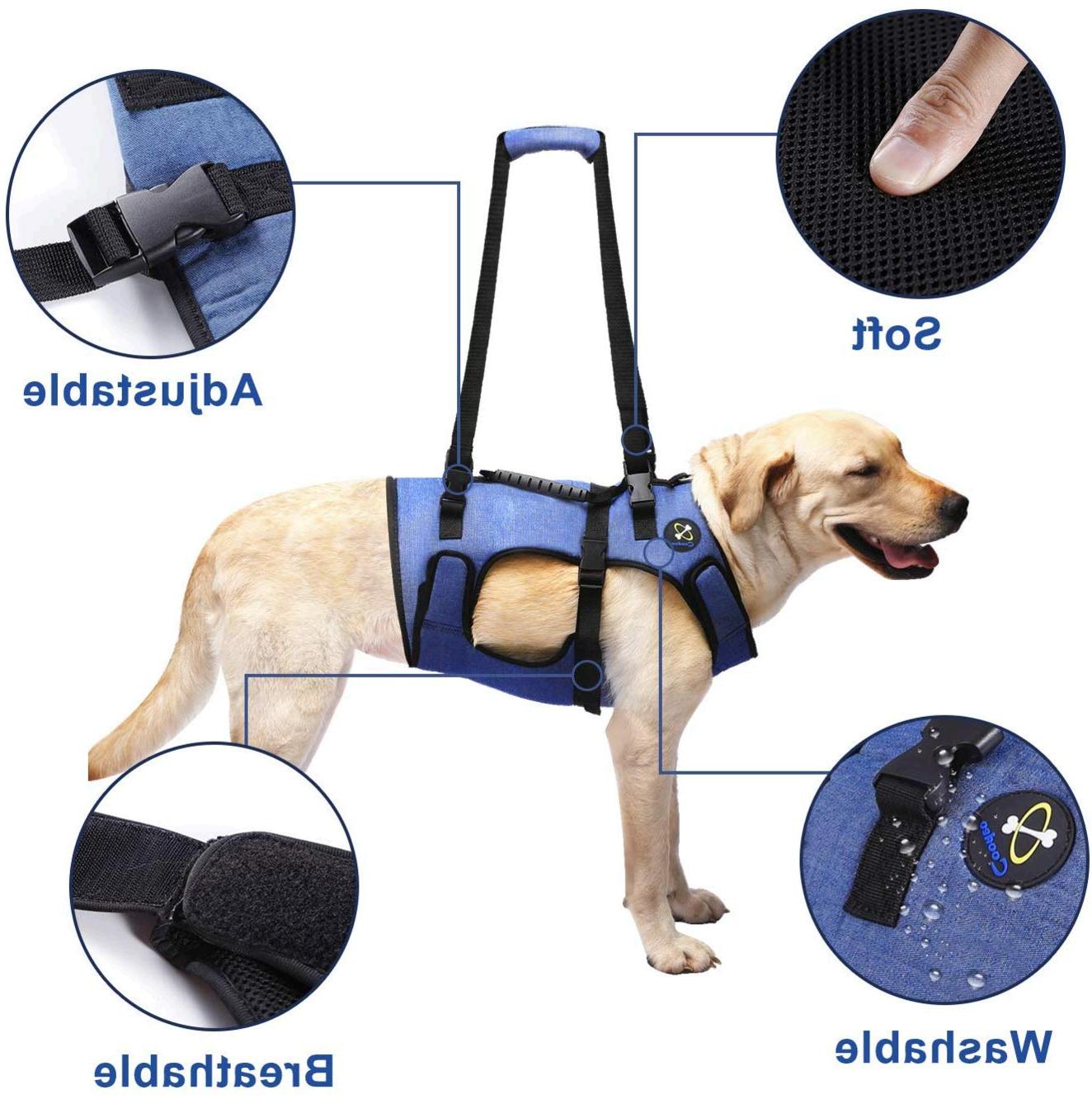 COODEO Dog Lift Harness, Support & Recovery Sling, Pet, No Color, Size ...