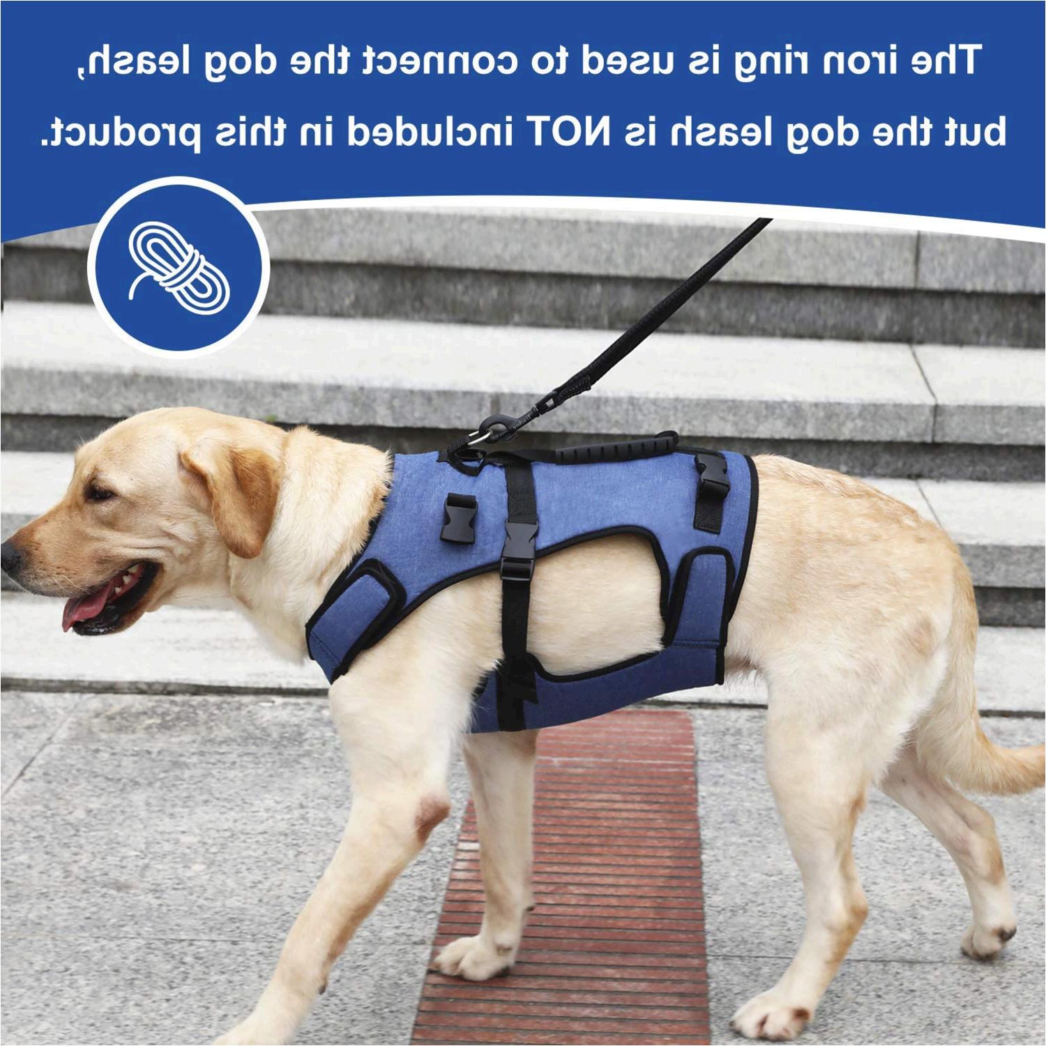 COODEO Dog Lift Harness, Support & Recovery Sling, Pet, No Color, Size