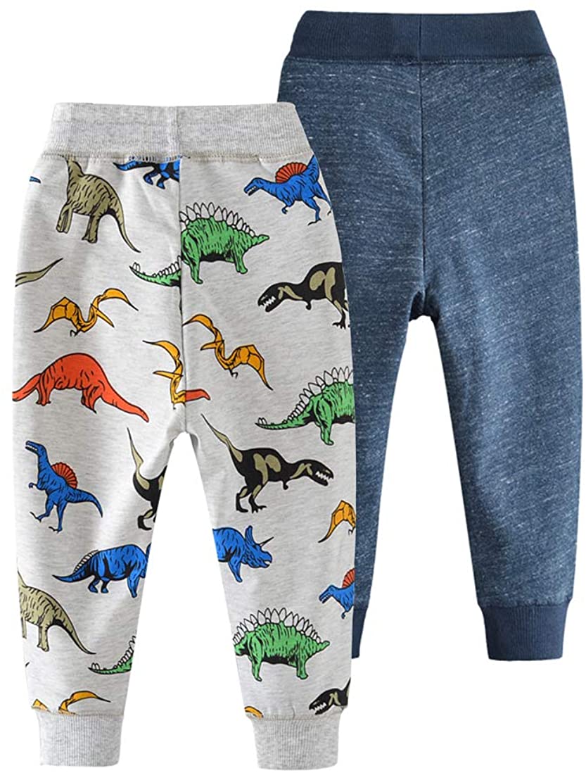 dinosaur jogger set