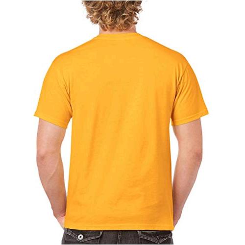 Gildan Mens G2000 Ultra Cotton Adult T Shirt 2 Pack Gold Gold