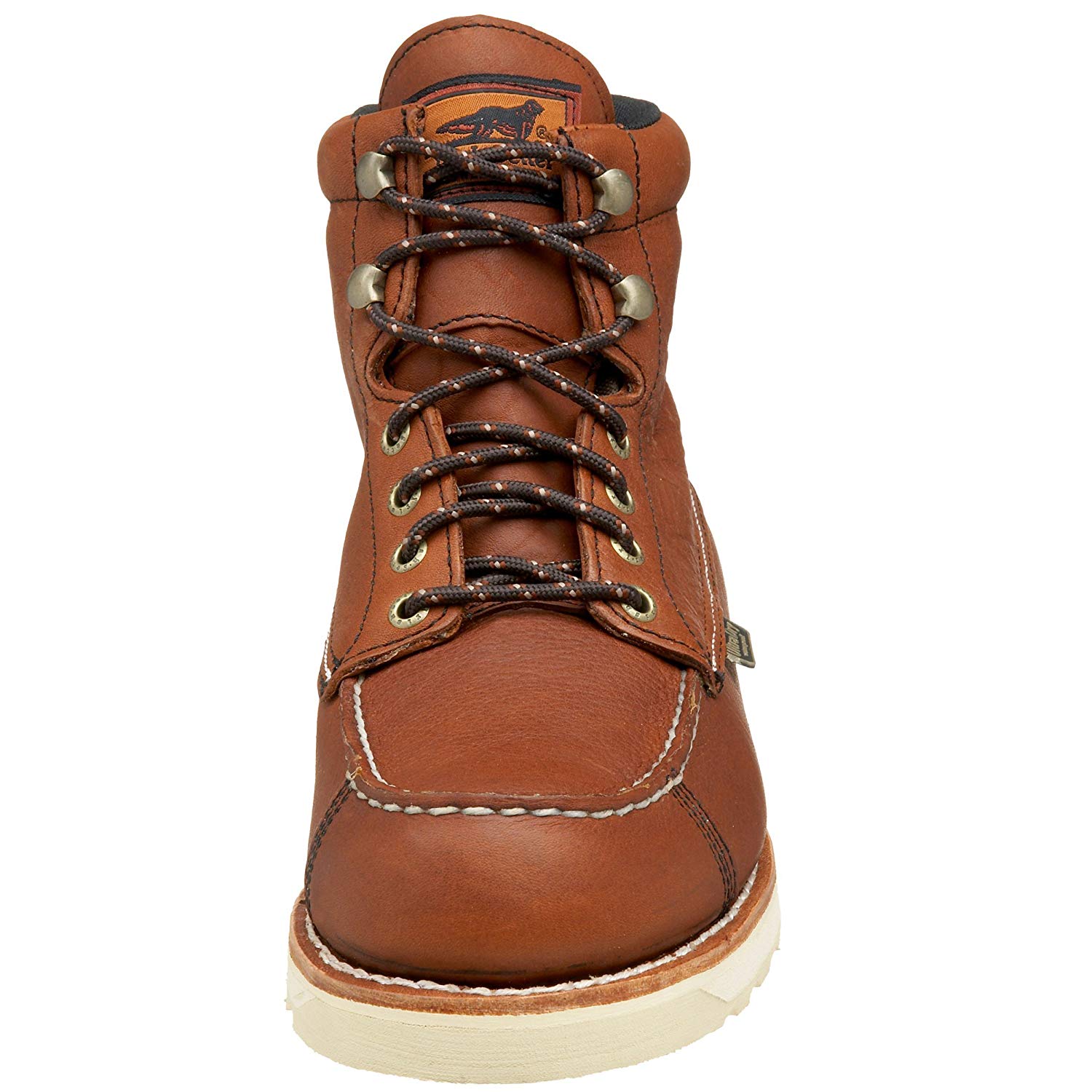 irish setter wingshooter