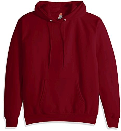 hanes men's hooded sweatshirt